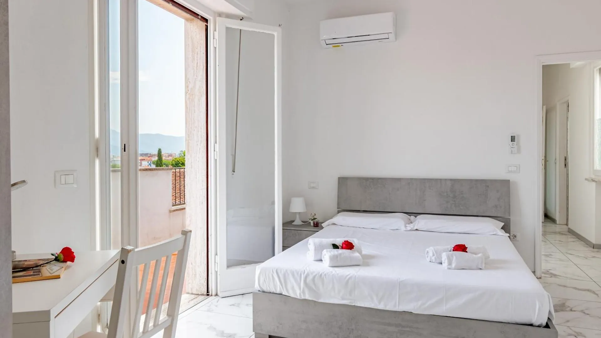Appartamento Attico Terrazza Vista Panoramica Lungarni Pisani  Pisa